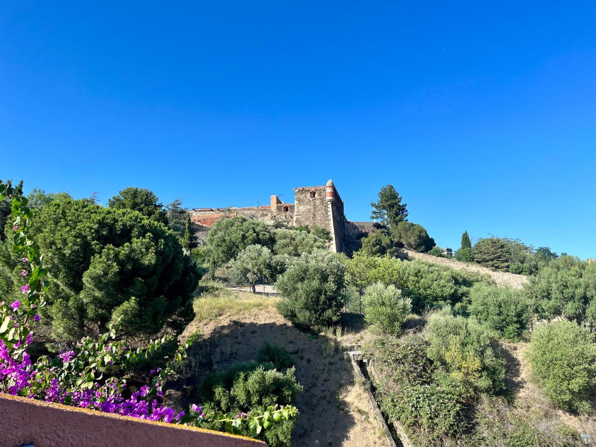 Appartement Collioure, Grande Terrasse Et Parking Exterior foto