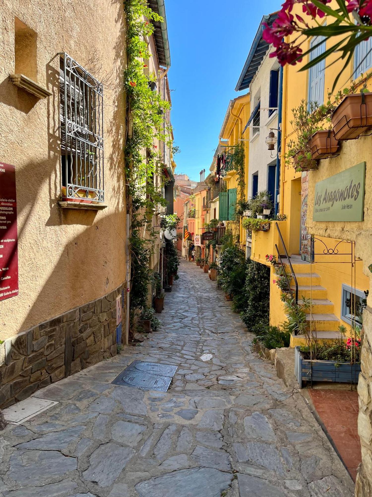 Appartement Collioure, Grande Terrasse Et Parking Exterior foto